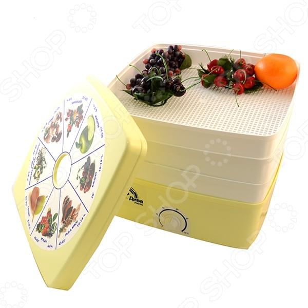 РОТОР Дива Люкс (3 решетки ,цветная упаковка, квадрат)  Сушилка для овощей - уменьшенная 6