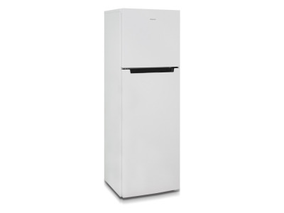 Бирюса 6039  Холодильник - уменьшенная 5